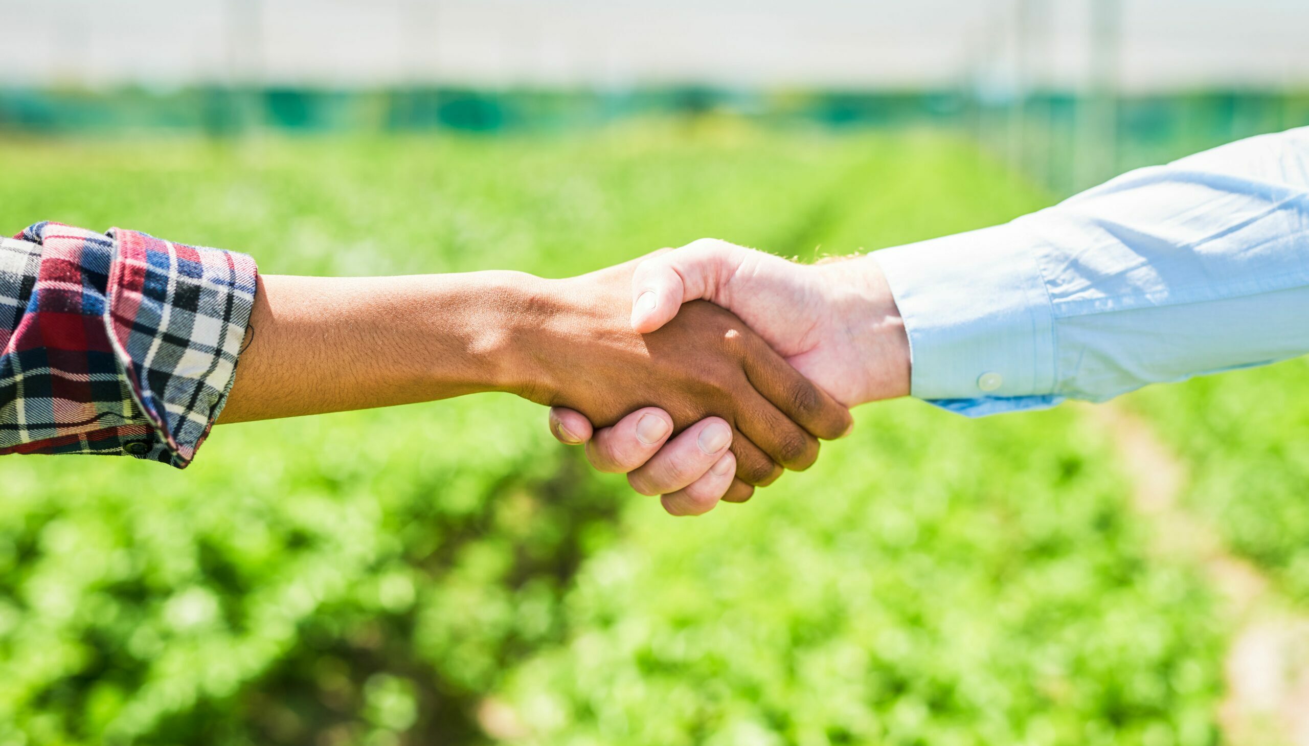 Your & our contribution | Careers